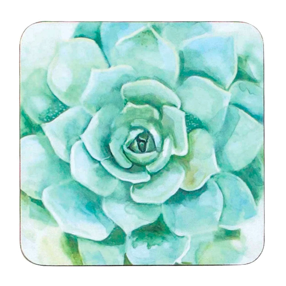 succulent coaster pack