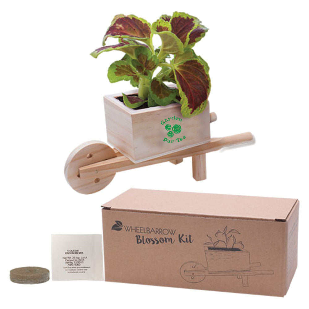 custom wooden wheel barrow blossom kit